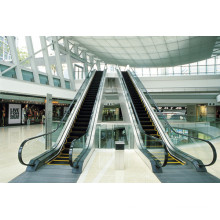 1000mm Vvvf Indoor Light Escalator for Supermarket
